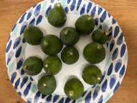 IMG_4394.jpeg IMG_4394.jpeg