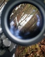 IMG_20201112_085710_252.jpg