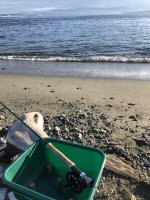 IMG_6137.jpeg