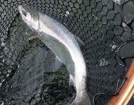 IMG_4403.jpeg