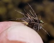 20230811_crippler.jpg