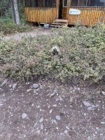 IMG_2283.jpeg IMG_2283.jpeg