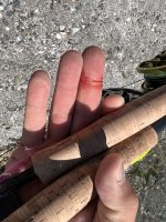 IMG_2992.jpeg