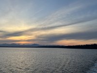 IMG_4413.jpeg