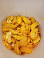 20230810_131855.jpg