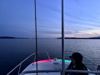 IMG_3009.jpeg