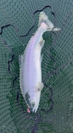 IMG_3008.jpeg