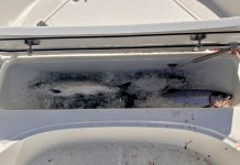 IMG_3007.jpeg