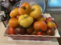 IMG_3786.jpeg