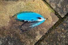 IMG_3834.jpeg