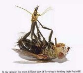 IMG_3301.jpeg