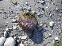 IMG_4427.jpeg