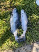 IMG_2023.jpeg
