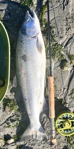 IMG_3031.jpeg