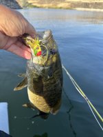 IMG_2037.jpeg