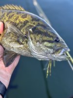 IMG_2038.jpeg