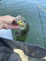 IMG_2036.jpeg