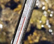 20230814_watertemp.jpg 20230814_watertemp.jpg