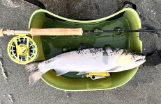 IMG_3041.jpeg