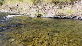 20230814_stream.jpg 20230814_stream.jpg