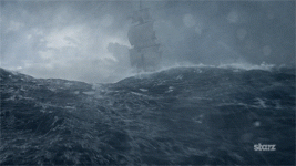 19491352.gif