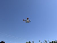 IMG_2567.jpeg IMG_2567.jpeg