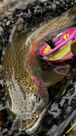 A008A037-0ACE-4306-A8EF-5398A27F87C8.jpeg A008A037-0ACE-4306-A8EF-5398A27F87C8.jpeg