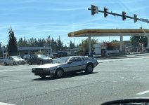 IMG_4420.jpeg