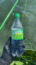 IMG_2028.jpeg