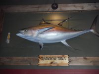 dscf3291.jpg
