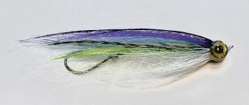 IMG_3053.jpeg