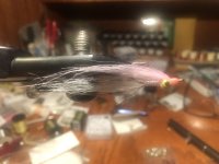 IMG_4346.jpeg