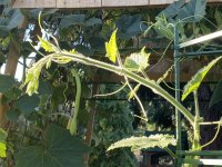 IMG_3793.jpeg