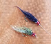 20230816_leeches.jpg 20230816_leeches.jpg