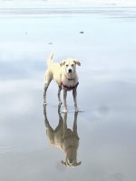 IMG_6241.jpeg
