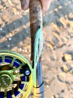 IMG_3073.jpeg