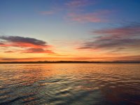 IMG_3071.jpeg