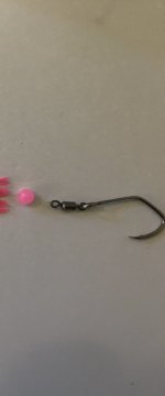 IMG_4433.jpeg