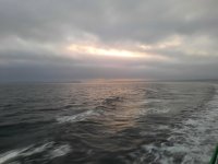 IMG_20230818_055733.jpg
