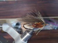 20230818_085737.jpg
