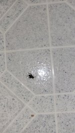 20230818_100531.jpg