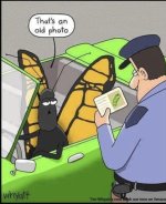 IMG_4460.jpeg