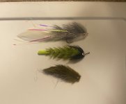 Flies.jpg