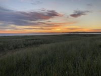IMG_4346.jpeg