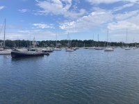 IMG_4345.jpeg