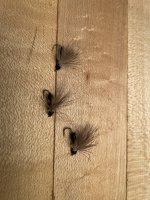 IMG_2363.jpeg