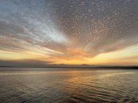 IMG_4467.jpeg