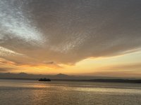 IMG_4471.jpeg
