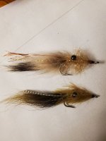 20230819_191149.jpg