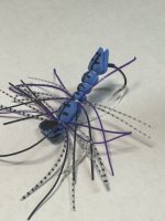 IMG_2047.jpeg